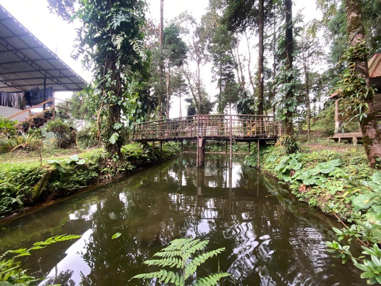 Magnolia Farmhouse And Homestay Darjeeling  Exterior photo